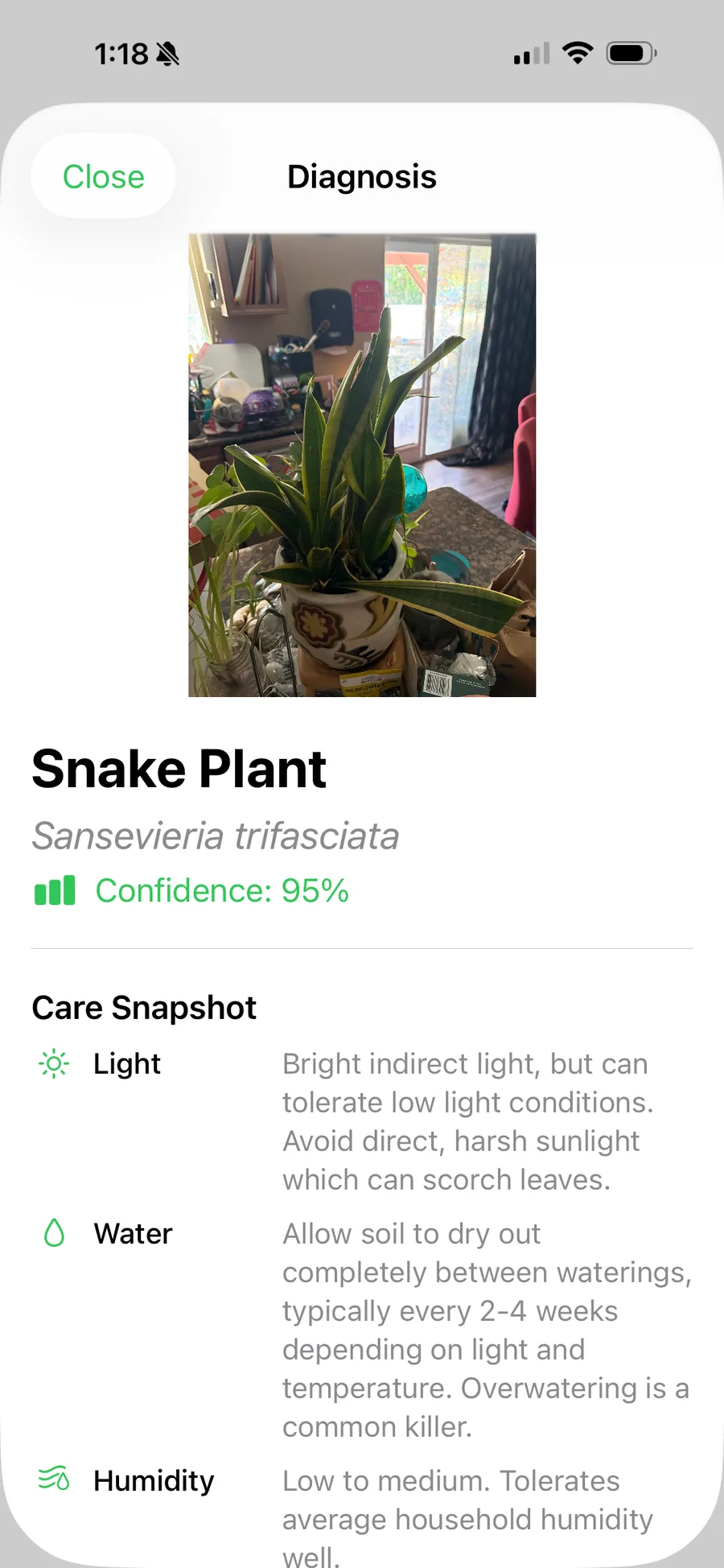 iOS plant diagnosis