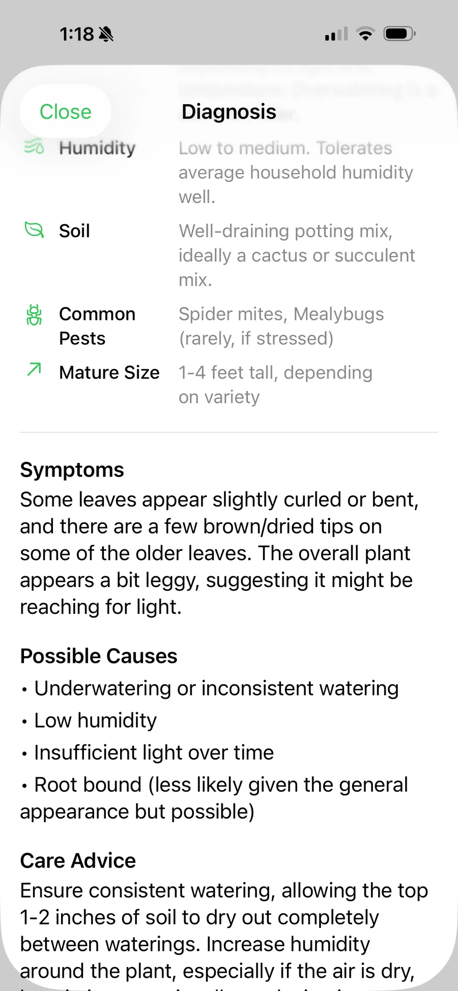 Care advice